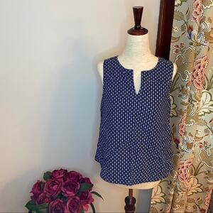 Madewell blue and white sleeveless tent shirt